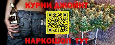 гидра Краснокаменск