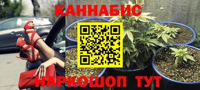 гидра Краснокаменск