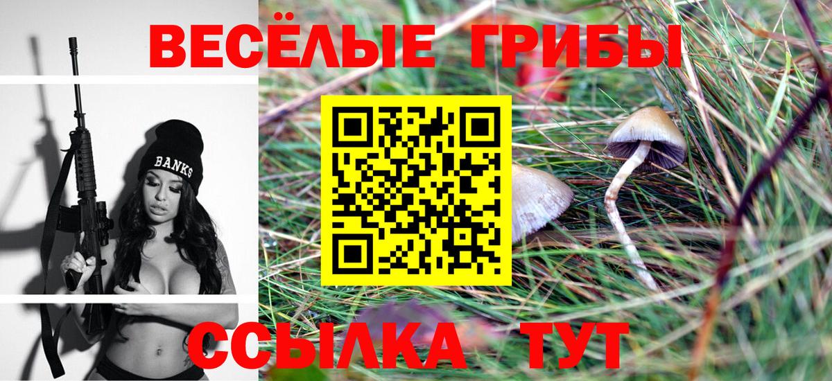 Губаха  Галлюциногенные грибы MAGIC MUSHROOMS  Вход с VPN 